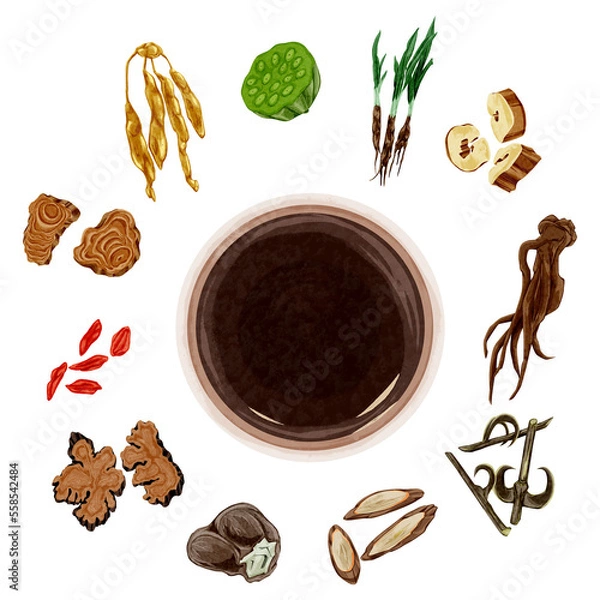 Obraz 女性の悩みに役立つ漢方生薬の手描き水彩風イラスト