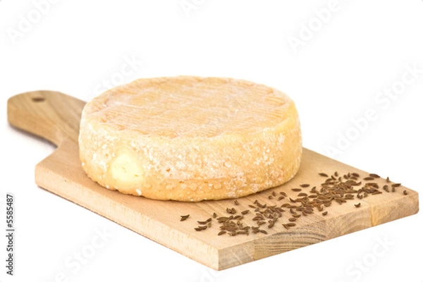 Obraz Carvi Fromage