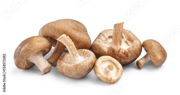 Fototapeta Heap of fresh shiitake mushrooms isolated on white background