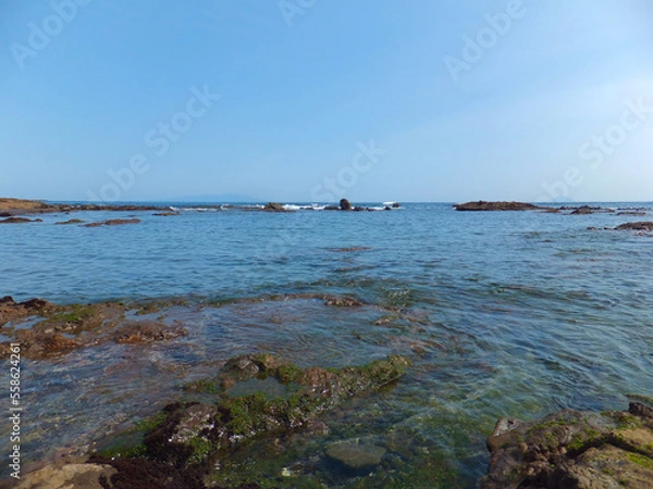 Obraz 春がやってきた伊豆の海