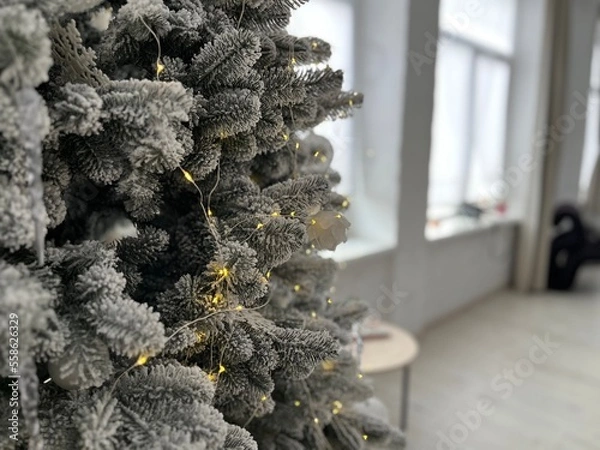 Fototapeta christmas tree with cones