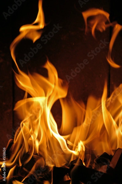 Obraz flames #43