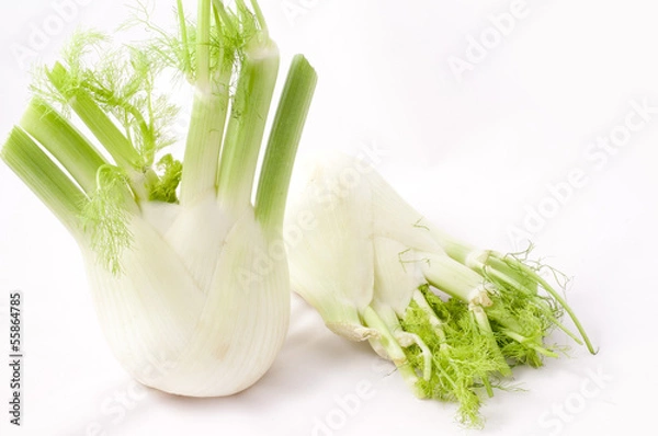 Obraz fennel