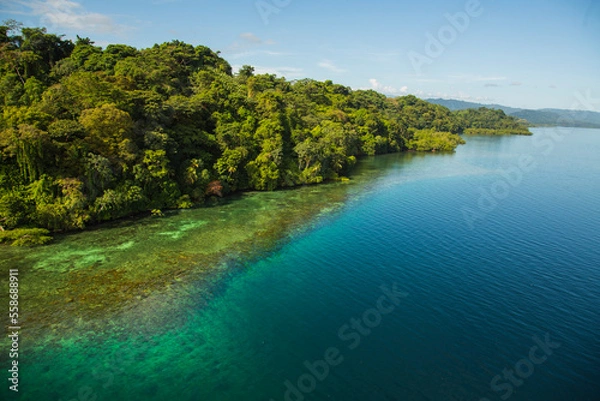 Obraz caribbean rainforrest cost