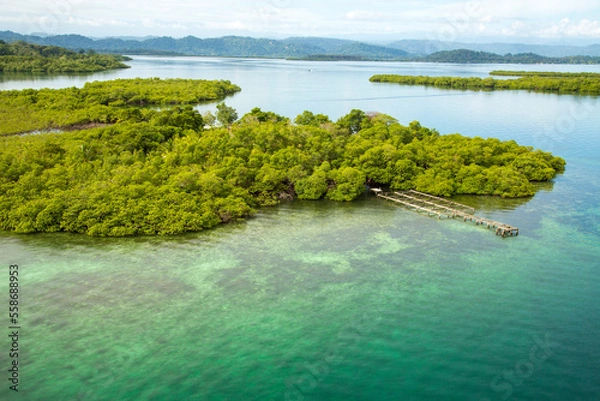 Obraz Karibik Mangroven Inseln
