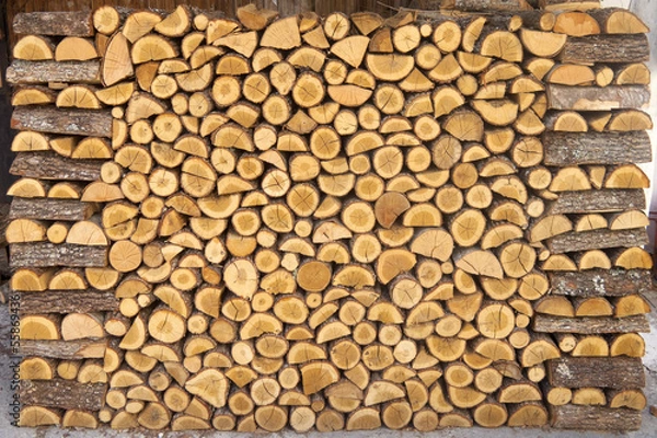 Fototapeta Chopped wood Pile