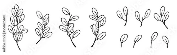 Fototapeta Set of olive branches and leaves. Floral elements. Outline drawing. Can be used for card, invitation, textile, wallpaper, pattern. Isolated vector and PNG illustration on transparent background. 