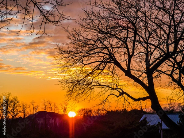 Obraz Orchards Sunset