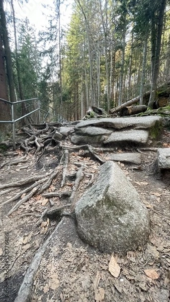 Fototapeta Nature shots