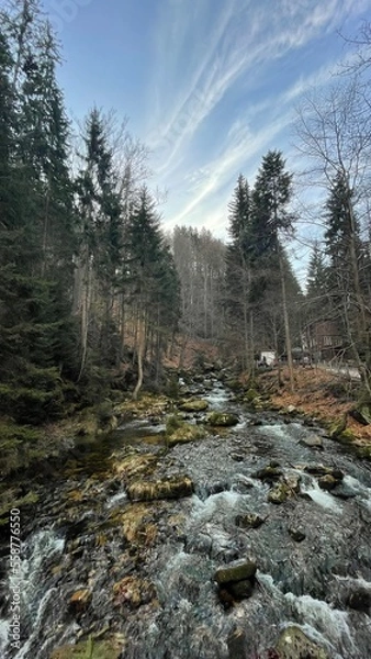 Fototapeta Nature shots