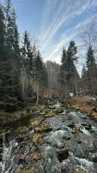 Fototapeta Nature shots