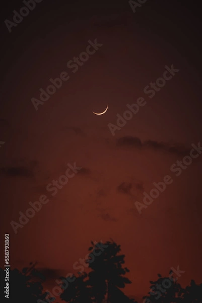 Fototapeta Moon eclipse