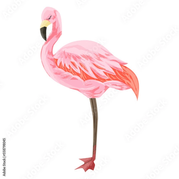 Obraz フラミンゴの手描き水彩風イラスト
