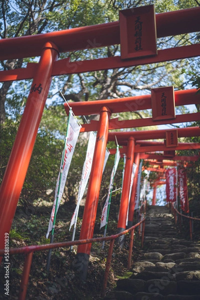 Fototapeta 福岡県の有名な観光地 太宰府天満宮の本殿裏天開稲荷神社 赤い鳥居