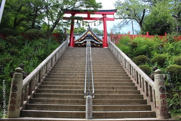 Fototapeta 神社の境内の階段