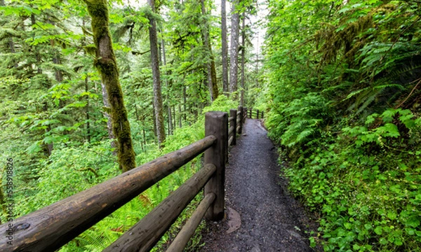 Obraz PNW trails - 02