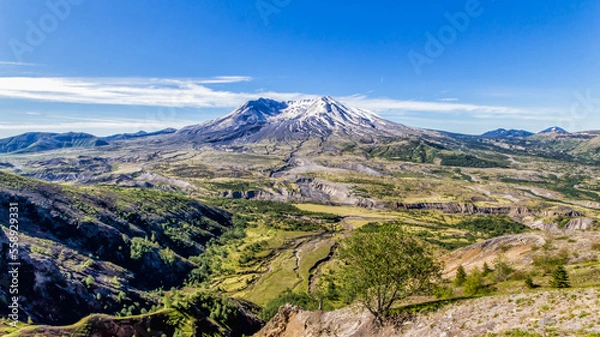 Obraz Mount Hood - scenic view 08
