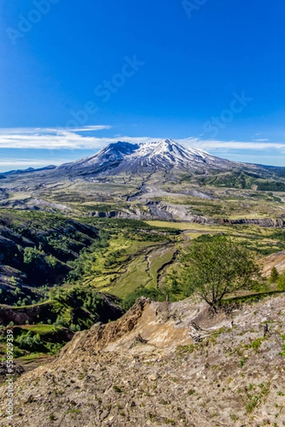 Obraz Mount Hood - scenic view 09