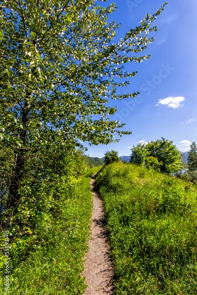 Obraz Trail in the mountains - 01