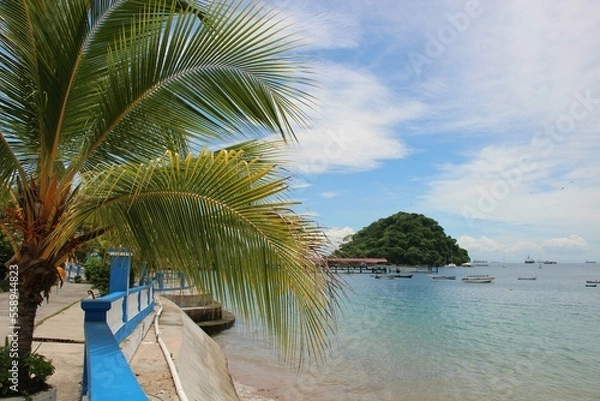 Obraz beach with palm trees