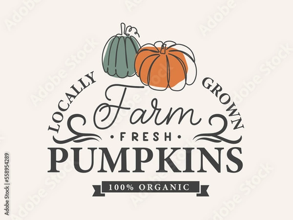 Obraz Farm fresh pumpkins vintage sign with one line art pumpkins. Fall retro style typography poster, print or card. Autumn pumpkin vintage logo. Vector illustration. Pumpkin patch sign or label design.