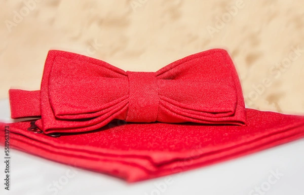 Fototapeta Handsome men's set of red bow tie and scarf on a light background.