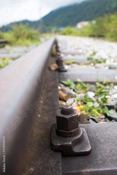Obraz railway in the countryside