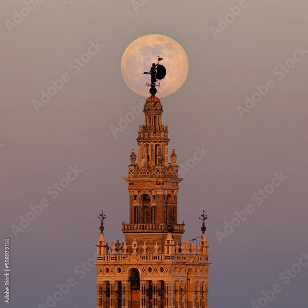 Obraz Big moon behind the Giralda