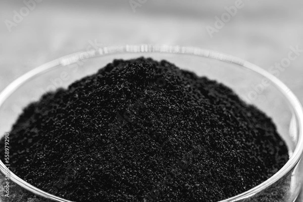 Fototapeta Petri dish with graphene powder, material is light, electrically conductive, rigid and waterproof.