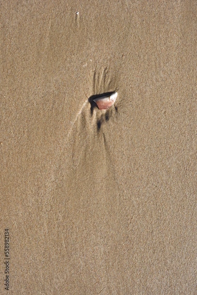 Fototapeta Background created from the sand on the beach.