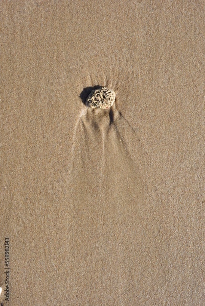 Fototapeta Background created from the sand on the beach.