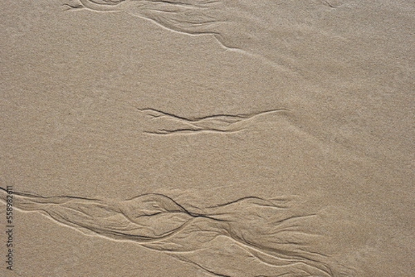 Fototapeta Background created from the sand on the beach.