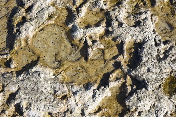 Fototapeta Background created from the stone on the beach.