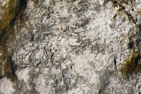 Fototapeta Background created from the stone on the beach.