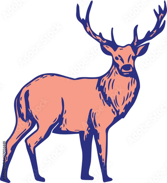 Obraz deer vector illustration