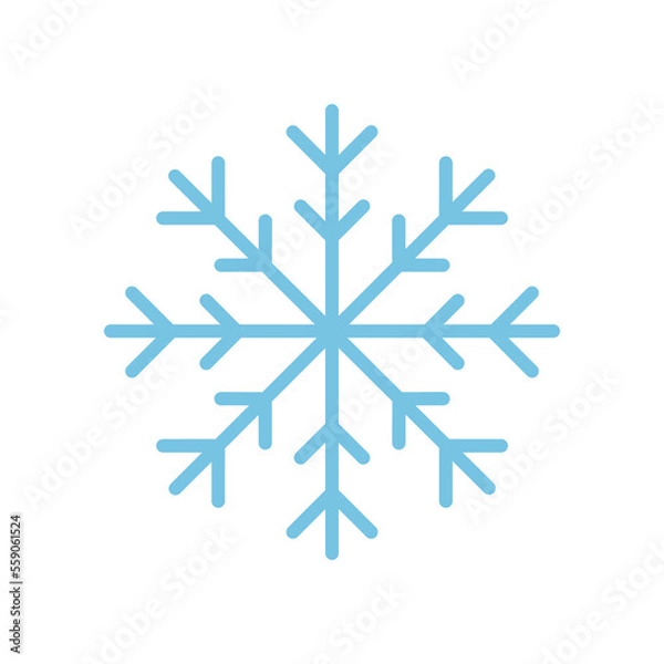 Obraz Snowflake vector on white background