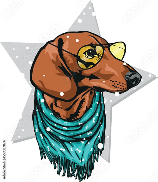 Fototapeta dachshund dog in yellow glasses and a green scarf under the snow on the background of a gray star