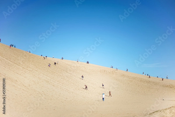 Fototapeta 鳥取県観光地_鳥取砂丘