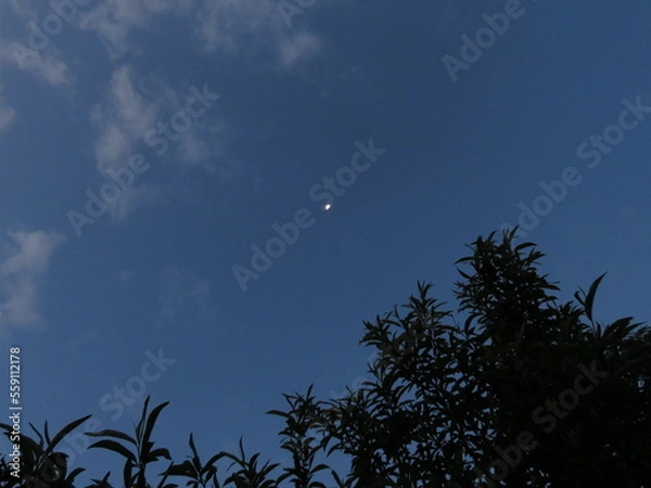 Fototapeta moon and clouds