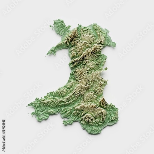 Fototapeta Wales Topographic Relief Map  - 3D Render
