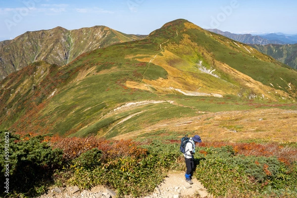 Fototapeta 稜線歩き