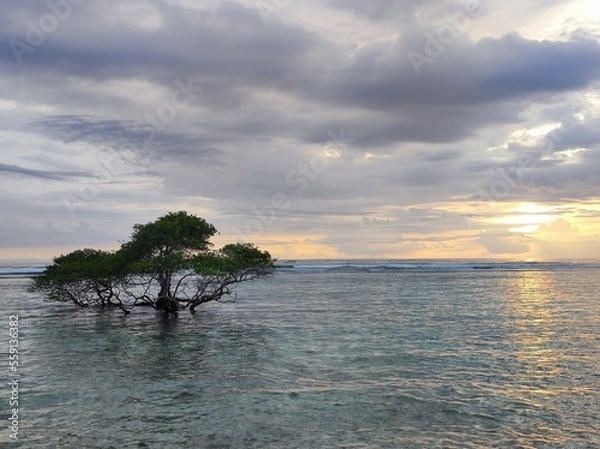Obraz Bali