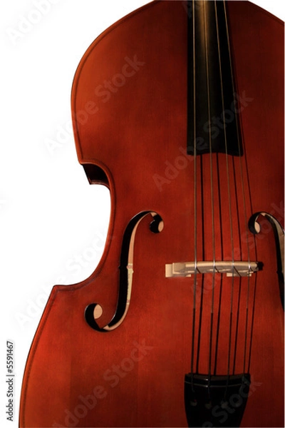 Obraz Contrabass-orchestral a musical instrument. 