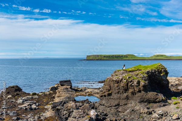 Fototapeta Coral Beach