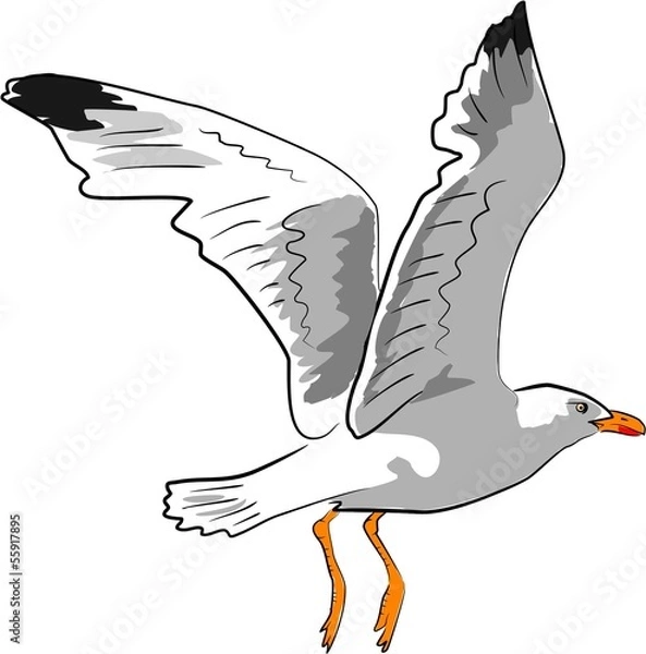 Obraz möwe im flug