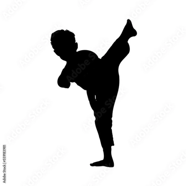 Obraz silhouette of a martial arts move with a transparent background