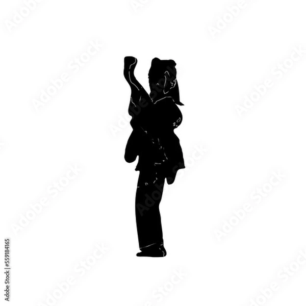 Fototapeta silhouette of a martial arts move with a transparent background
