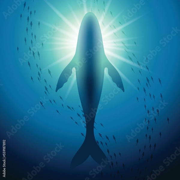 Fototapeta Silhouette a whale and school of fish from underneath view