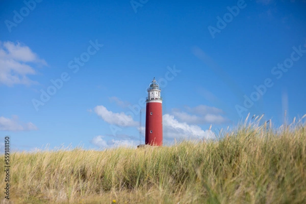 Obraz Leuchtturm von Texel