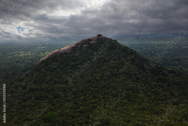Fototapeta View from Sigiriya Sri Lanka to Pidurangala mountain. Path up the hill for tourists to climb the Lion Rock.  Sky with clouds.